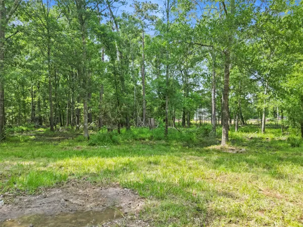 $625,000 | 553 County Road 370, Splendora, TX 77372
