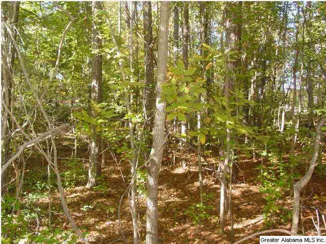 Old Choccolocco Road, Unit 73 Anniston, AL 36207 - Photo 27 of 30