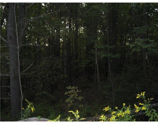147 Conesca Road Raymond, ME 04071 - Photo 8 of 8 Land/Lot.