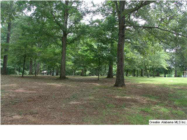 1090 Talladega Creek Road Talladega, AL 35160 - Photo 25 of 25