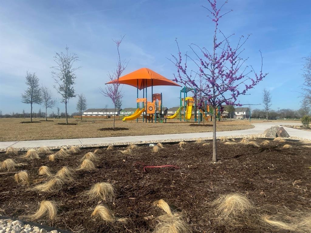 1508 Lake Alpine Trail Anna, TX 75409 - Photo 5 of 5 a view of a yard with a tree