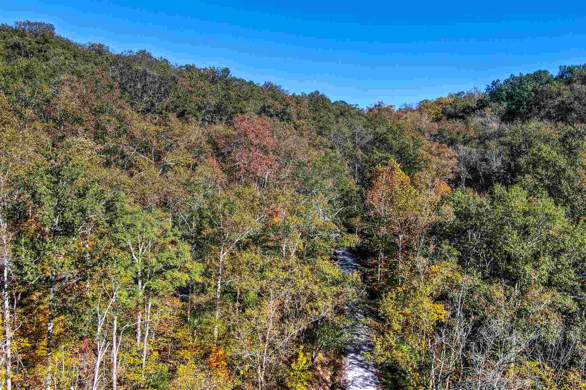 0 Bradford Tract B Road Foster, KY 41043 - Photo 4 of 9