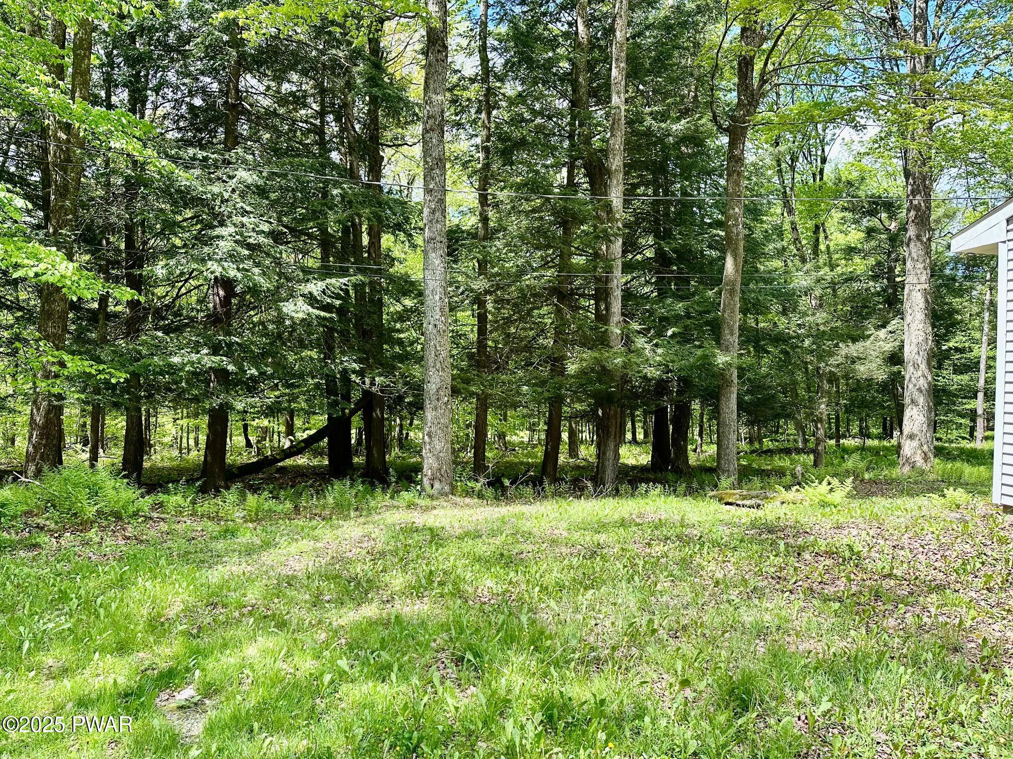234 Coxton Lake Road Thompson, PA 18465 - Photo 21 of 23