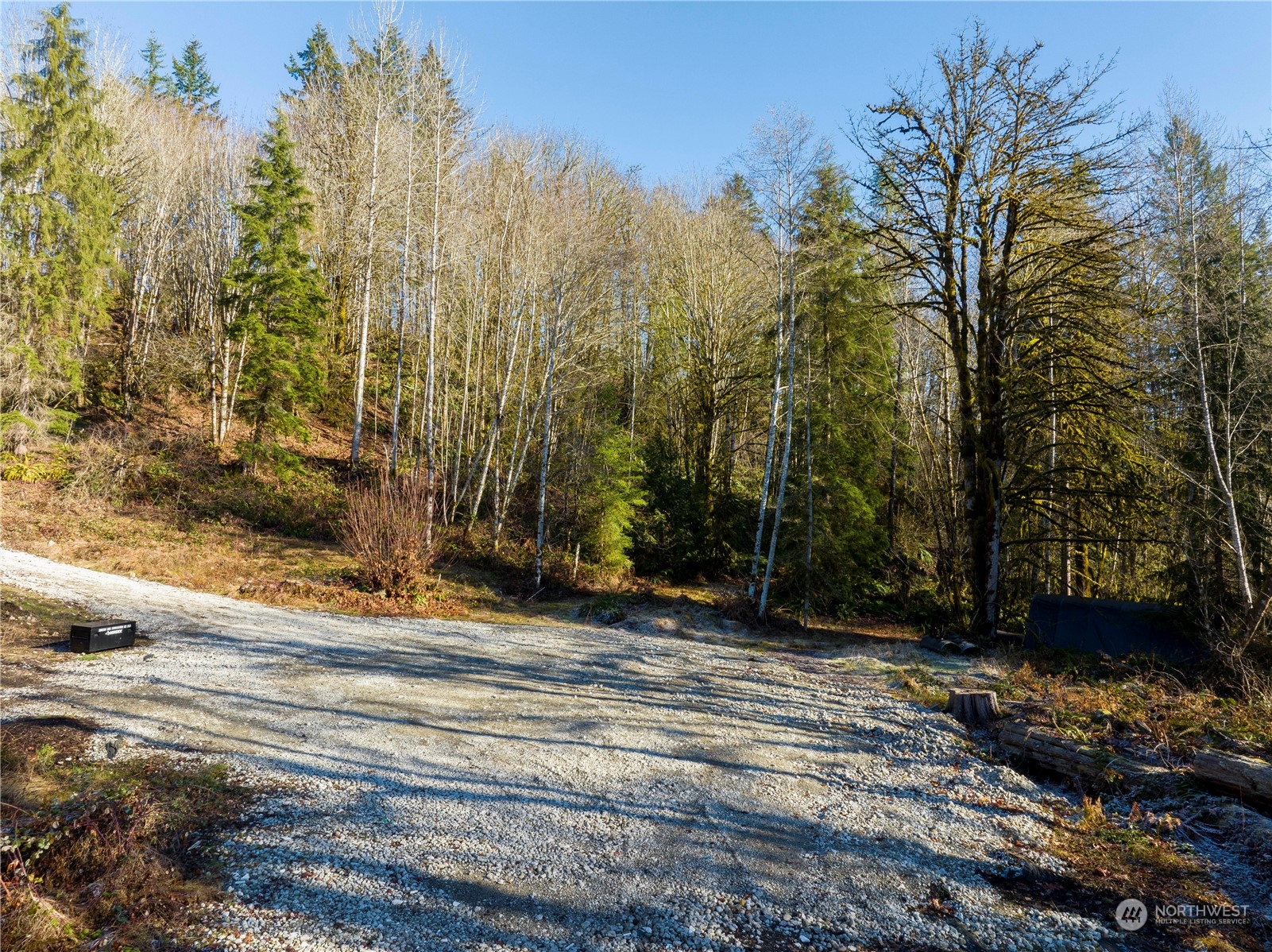 13620 Kelly Road Northeast Carnation, WA 98014 - Photo 24 of 34 Gallery Image 24