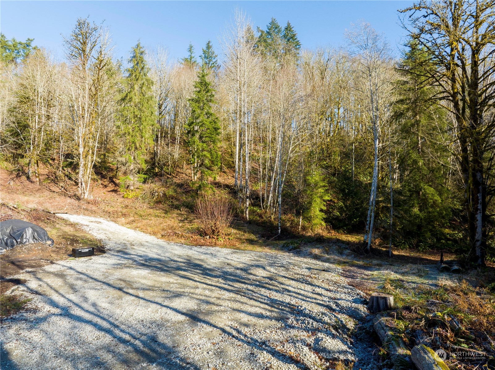 13620 Kelly Road Northeast Carnation, WA 98014 - Photo 28 of 34 Gallery Image 28
