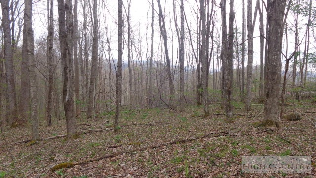 Ed Little Road Creston, NC 28615 - Photo 11 of 14 Gallery Image 11