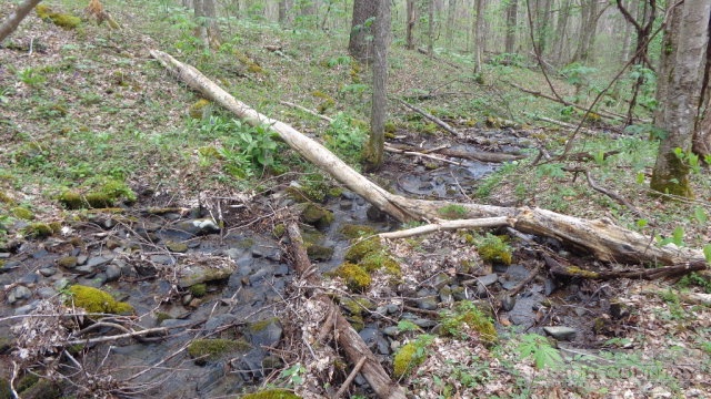 Ed Little Road Creston, NC 28615 - Photo 12 of 14 Gallery Image 12