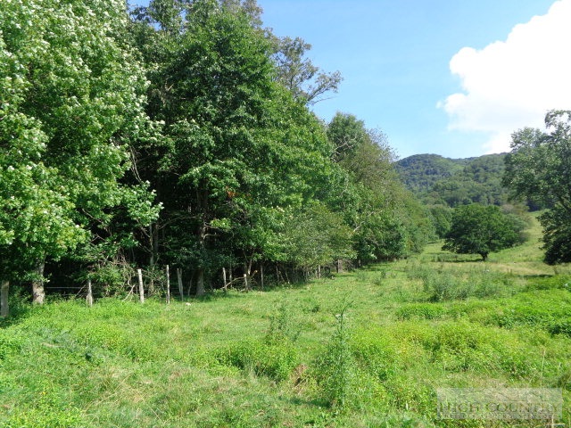 Ed Little Road Creston, NC 28615 - Photo 8 of 14 Gallery Image 8
