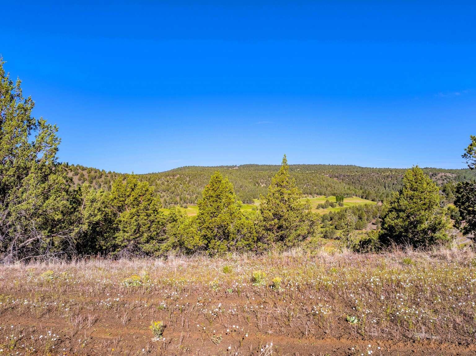 737 Raccoon Lane Alturas, CA 96101 - Photo 4 of 16 Dingman.4