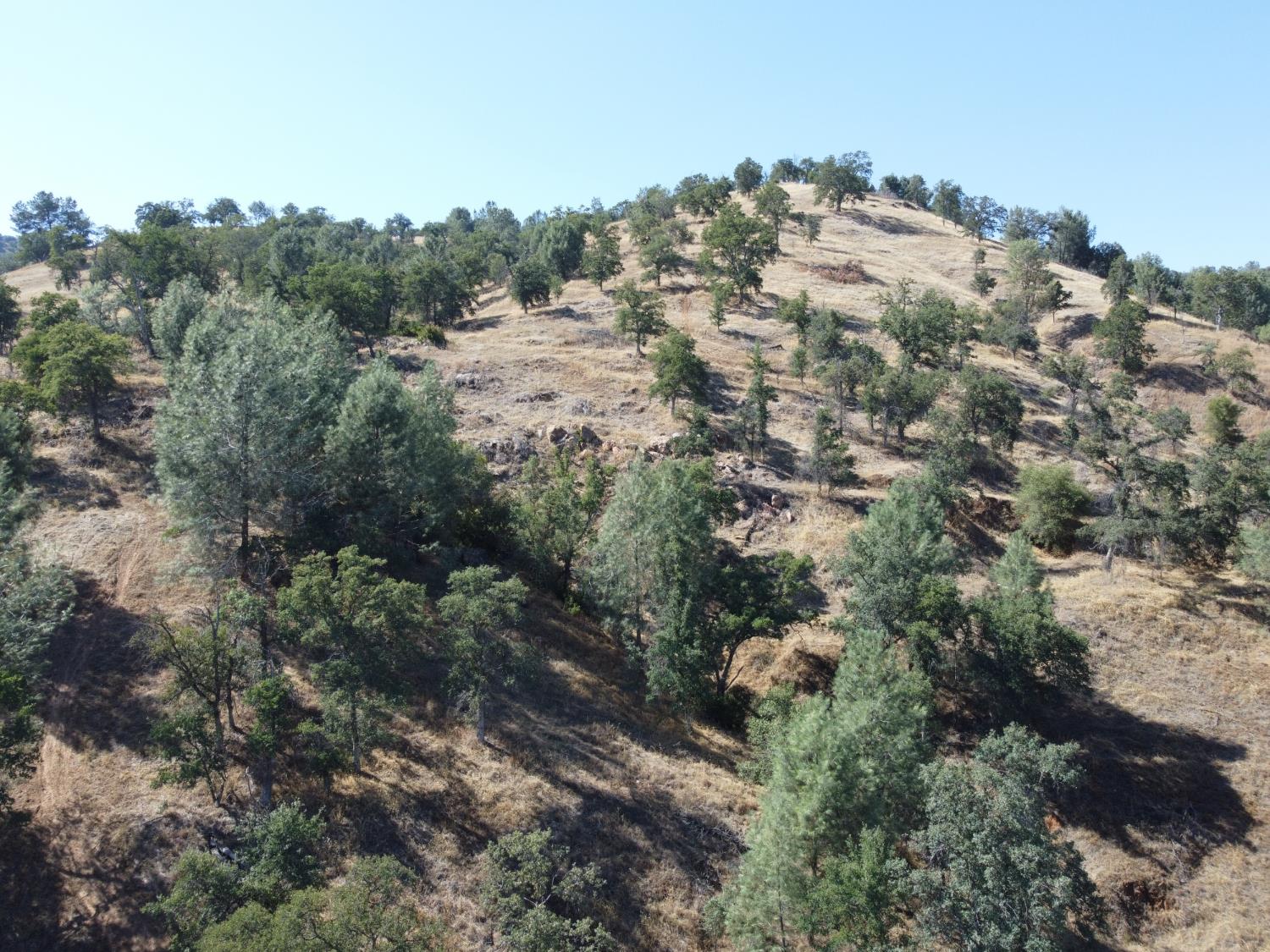 0 East Sycamore Road Tollhouse, CA 93667 - Photo 9 of 10 Gallery Image 9