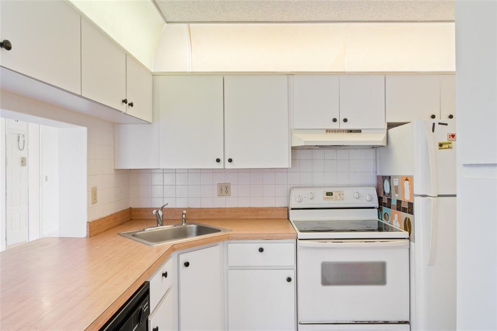 1308 Pine Ridge Circle East, Unit H2 Tarpon Springs, FL 34688 - Photo 5 of 17 a kitchen with cabinets appliances a sink and a counter space