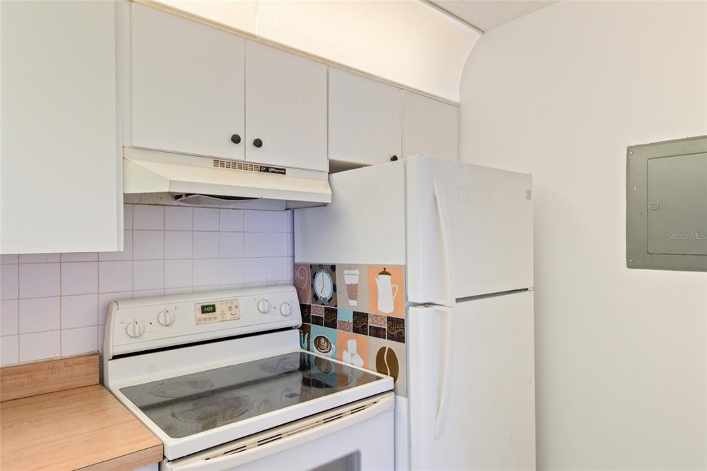 1308 Pine Ridge Circle East, Unit H2 Tarpon Springs, FL 34688 - Photo 6 of 17 a white refrigerator freezer sitting inside of a kitchen