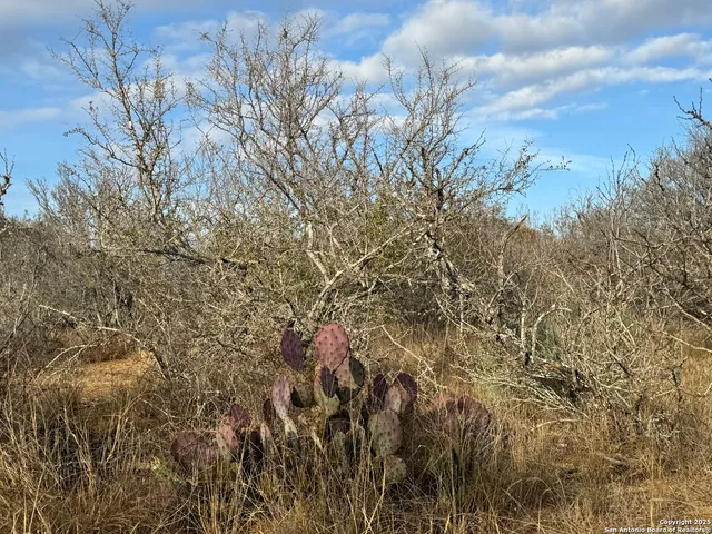 $150,000 | 765 County Road 765, Moore, TX 78057