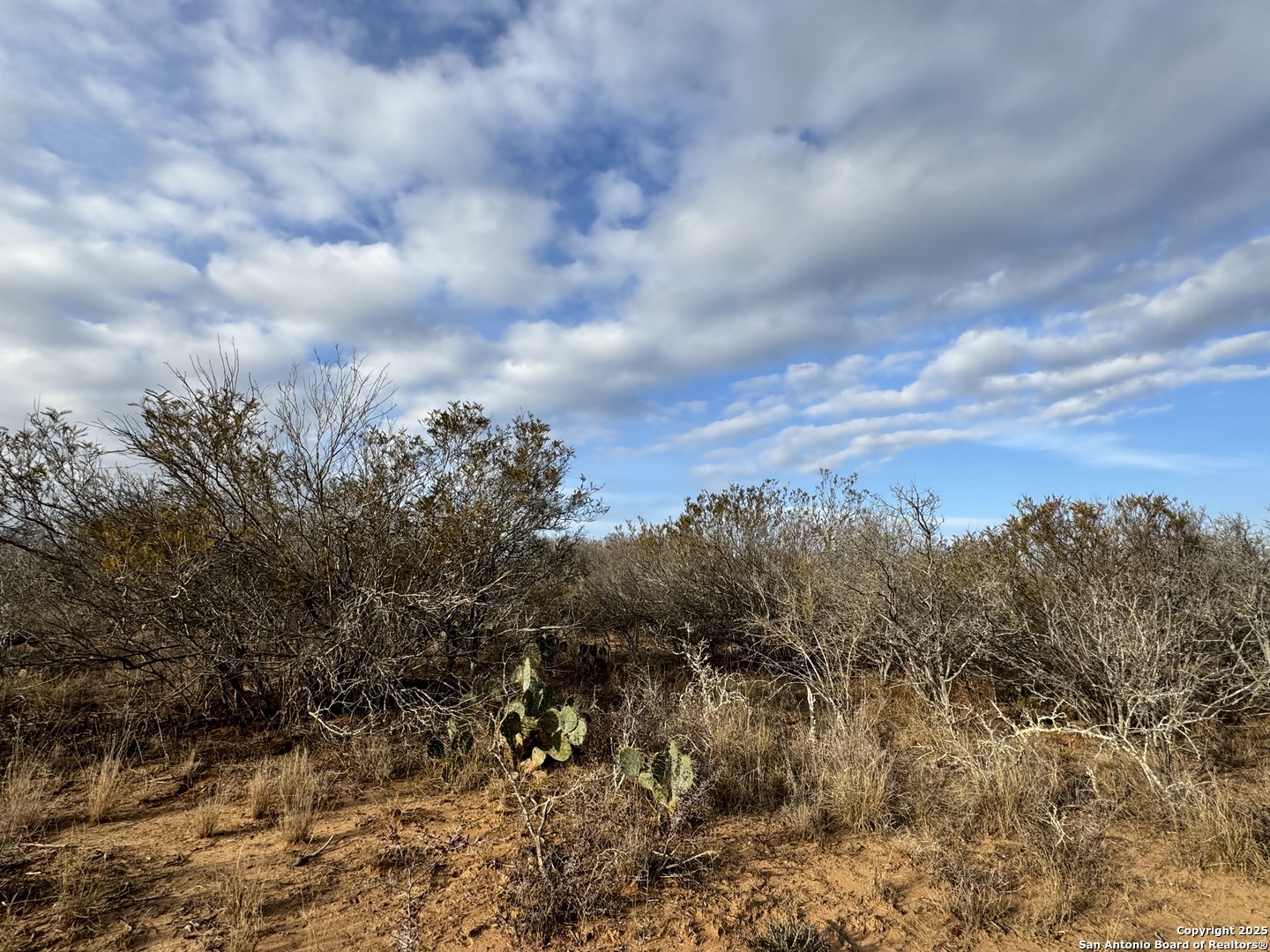765 County Road 765 Moore, TX 78057 - Photo 13 of 33