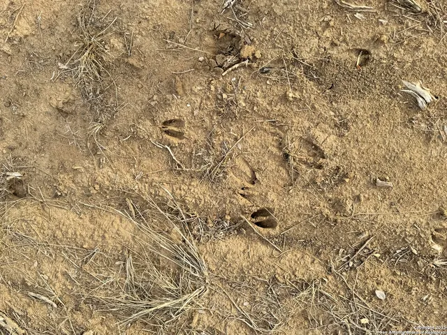 $150,000 | 765 County Road 765, Moore, TX 78057