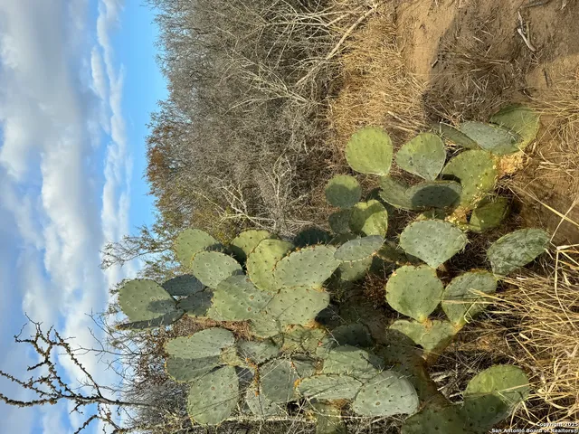 $150,000 | 765 County Road 765, Moore, TX 78057