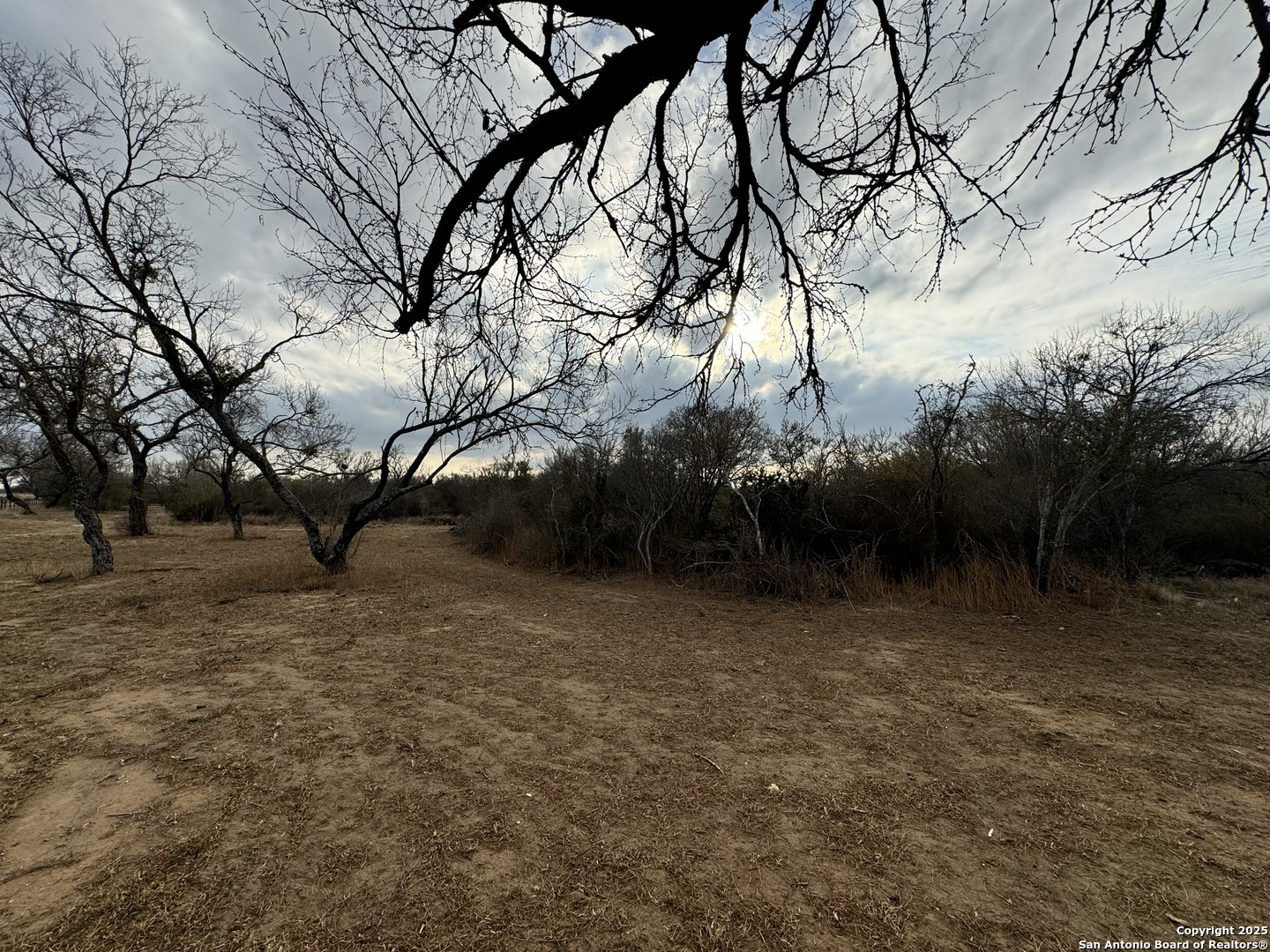 765 County Road 765 Moore, TX 78057 - Photo 19 of 33