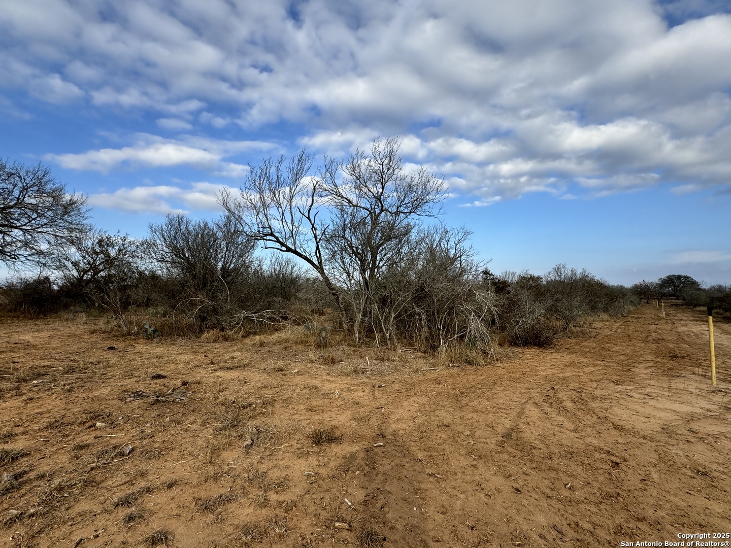 765 County Road 765 Moore, TX 78057 - Photo 21 of 33