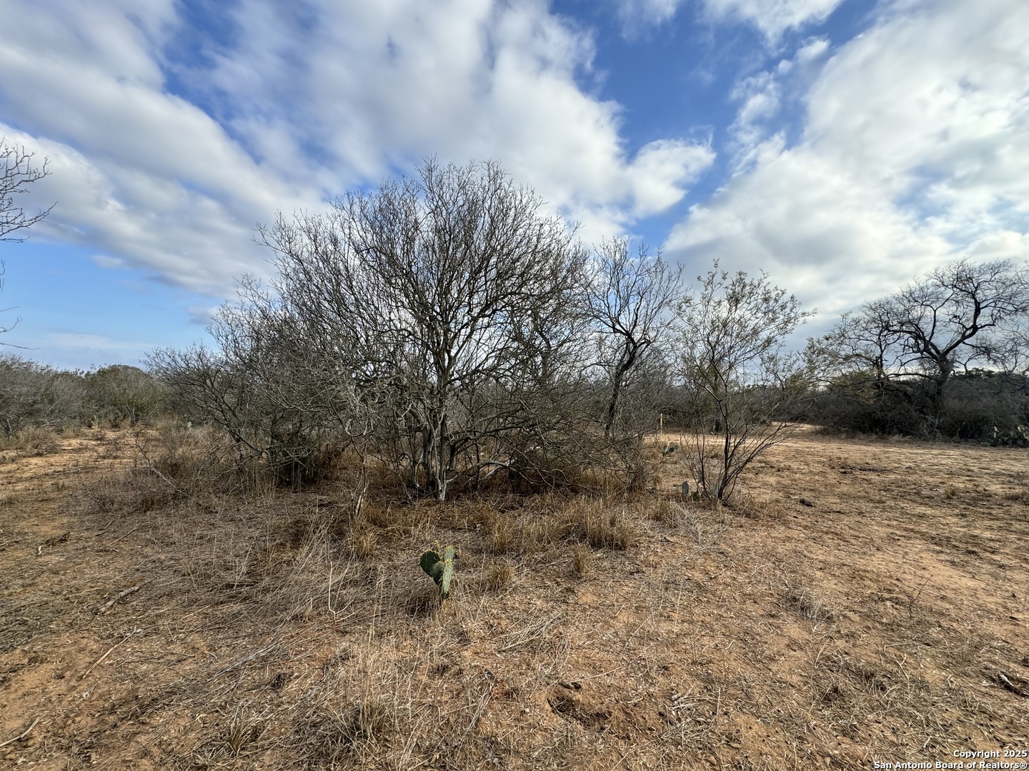 765 County Road 765 Moore, TX 78057 - Photo 23 of 33