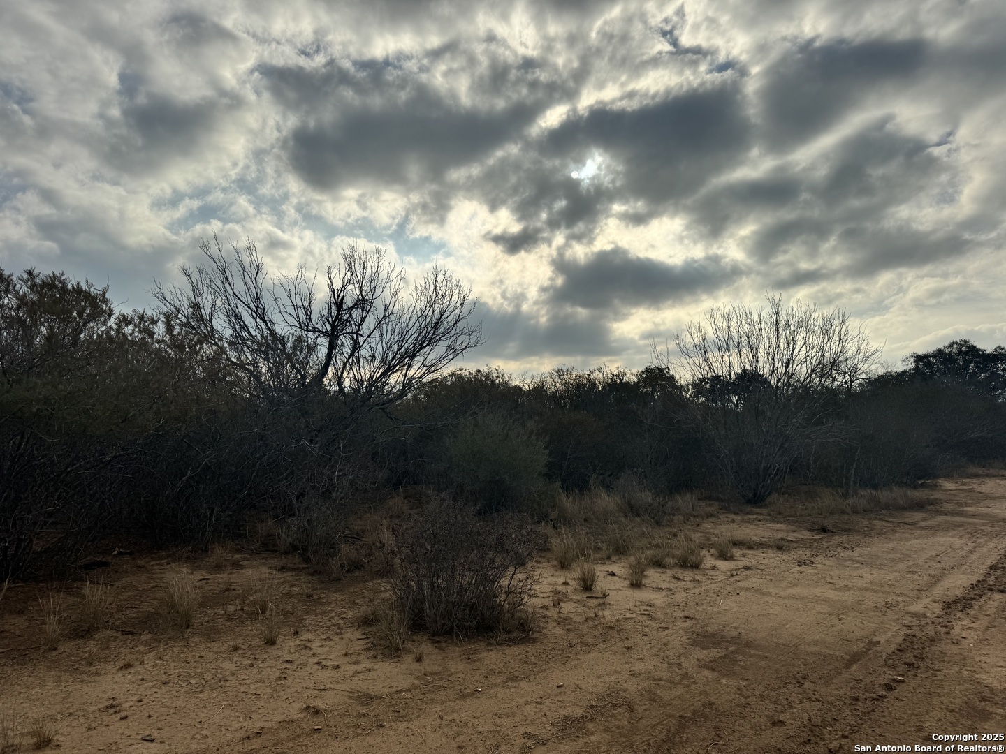 765 County Road 765 Moore, TX 78057 - Photo 28 of 33