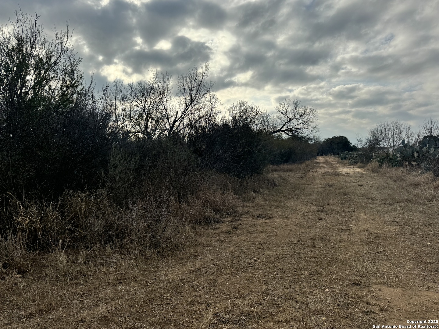 765 County Road 765 Moore, TX 78057 - Photo 31 of 33