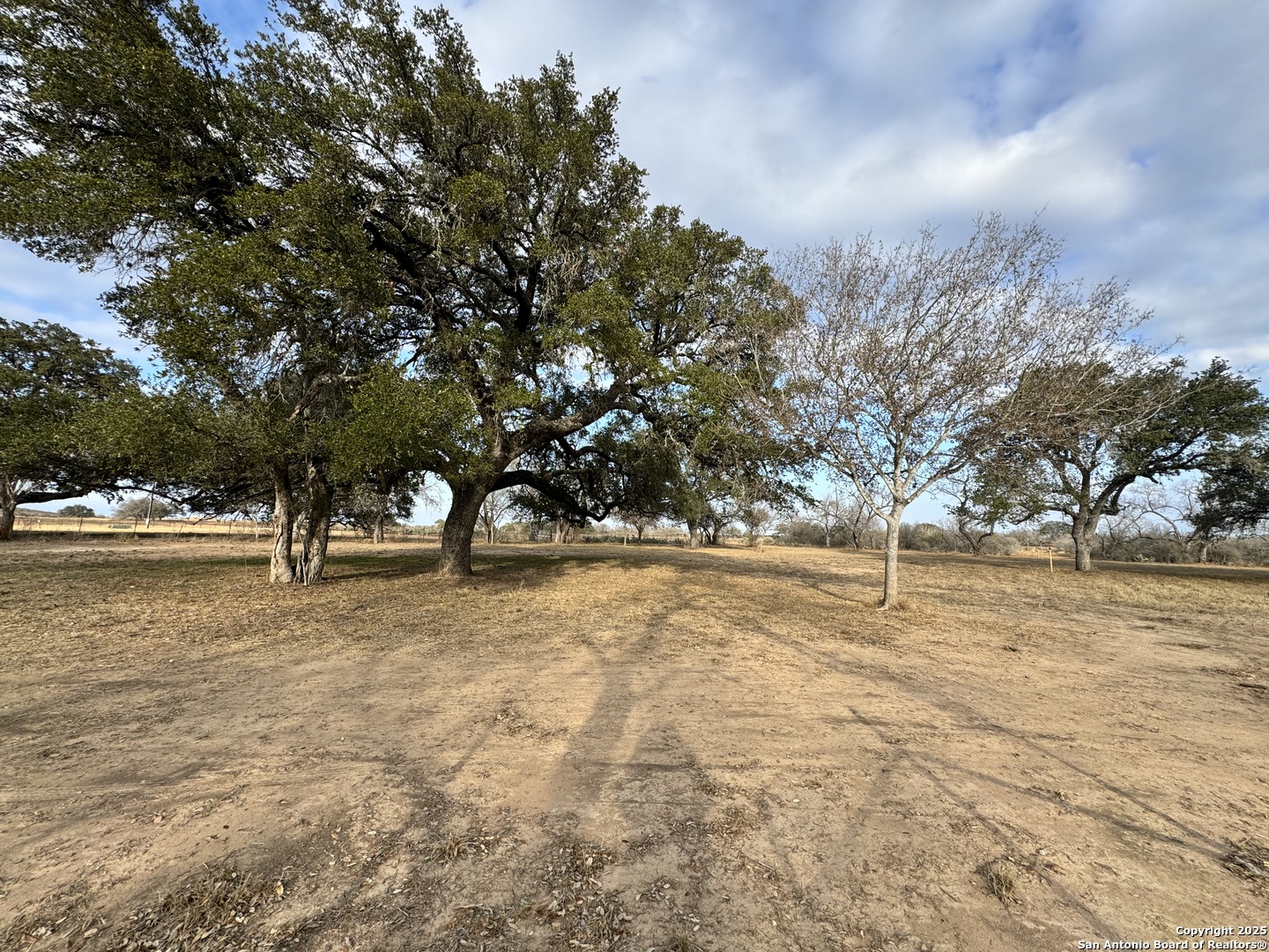 765 County Road 765 Moore, TX 78057 - Photo 4 of 33