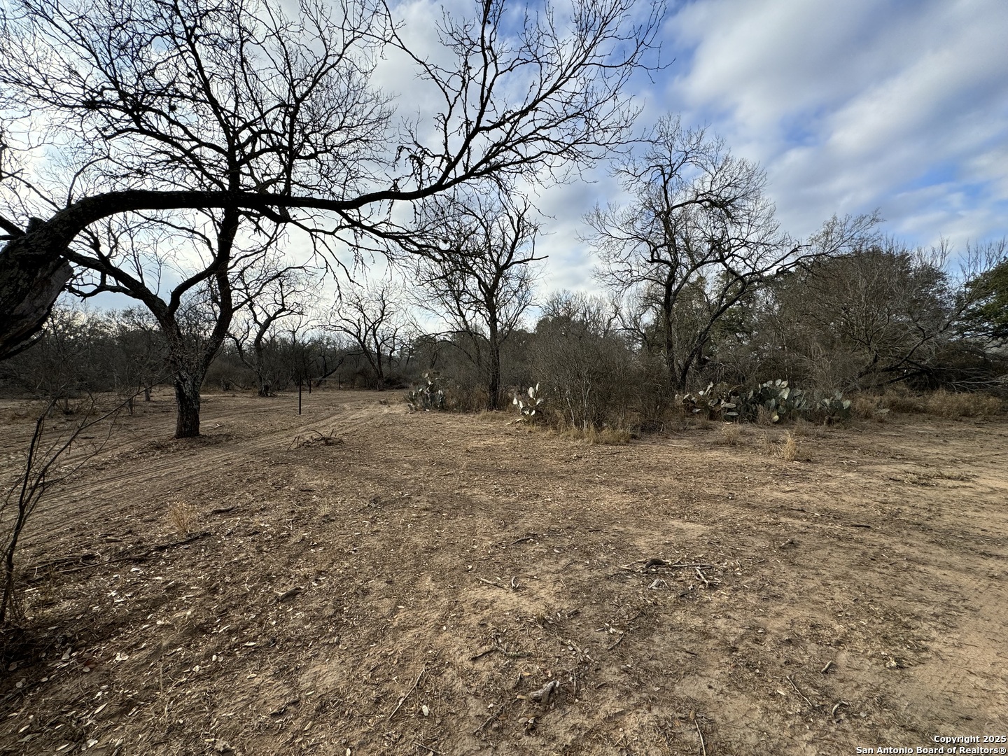 765 County Road 765 Moore, TX 78057 - Photo 6 of 33