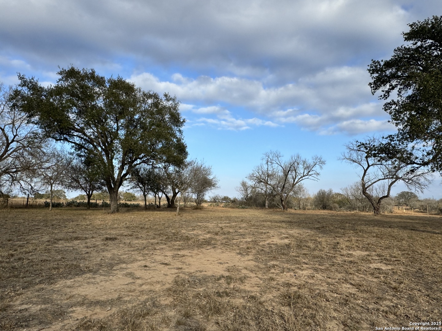 765 County Road 765 Moore, TX 78057 - Photo 7 of 33