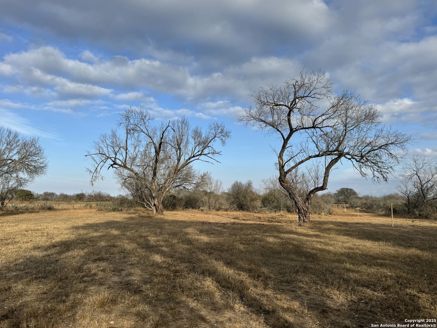 765 County Road 765 Moore, TX 78057 - Photo 9 of 33