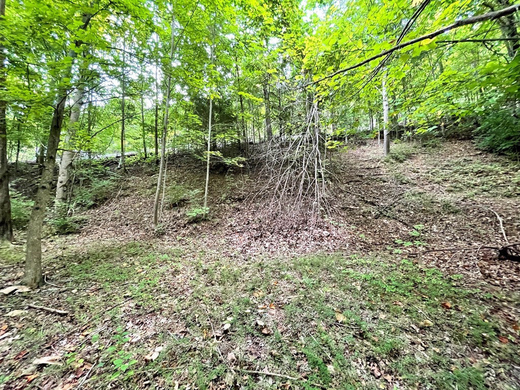 4060 Ridgeback Lane Sevierville, TN 37862 - Photo 8 of 24