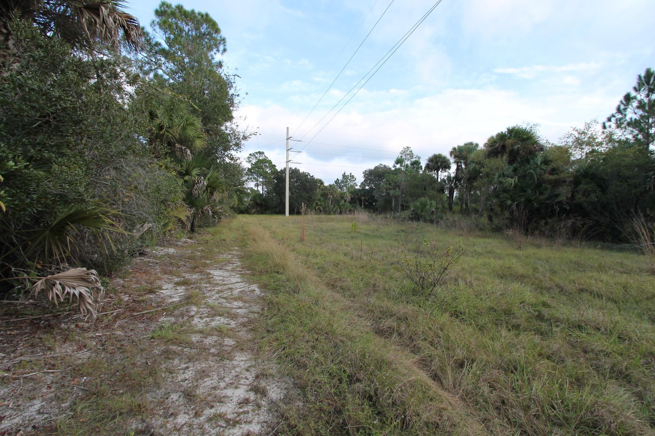 451 Liberty Road Mims, FL 32754 - Photo 19 of 22 IMG_6931