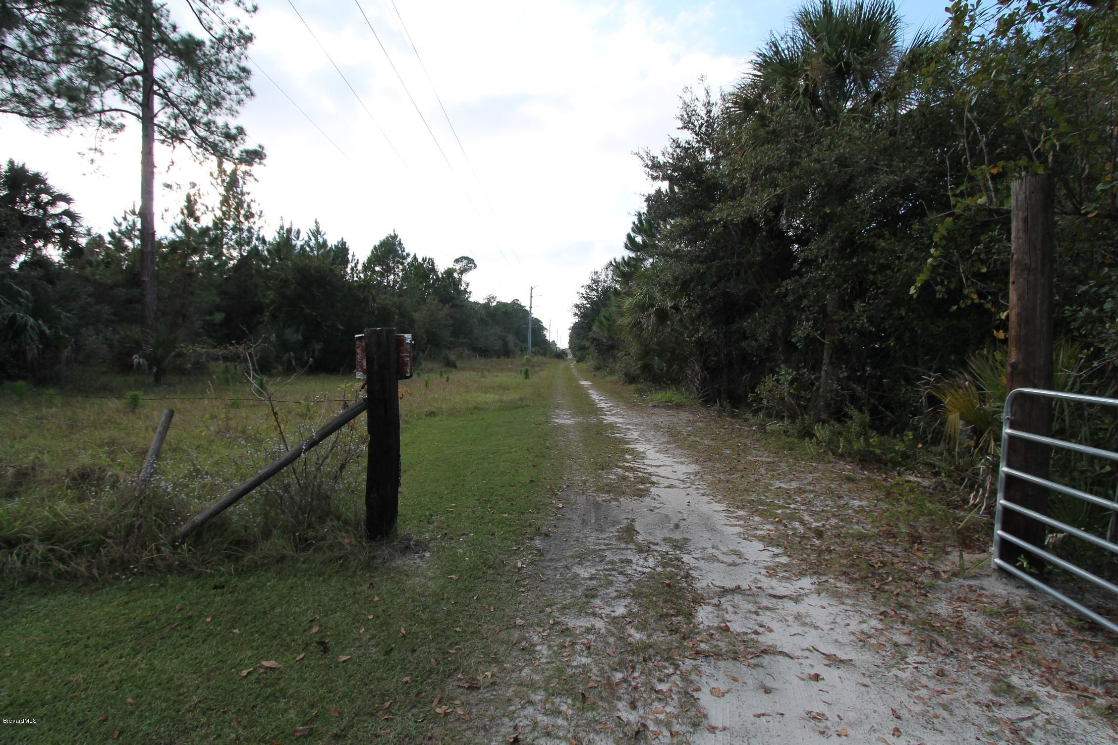 451 Liberty Road Mims, FL 32754 - Photo 3 of 22 driveway to property