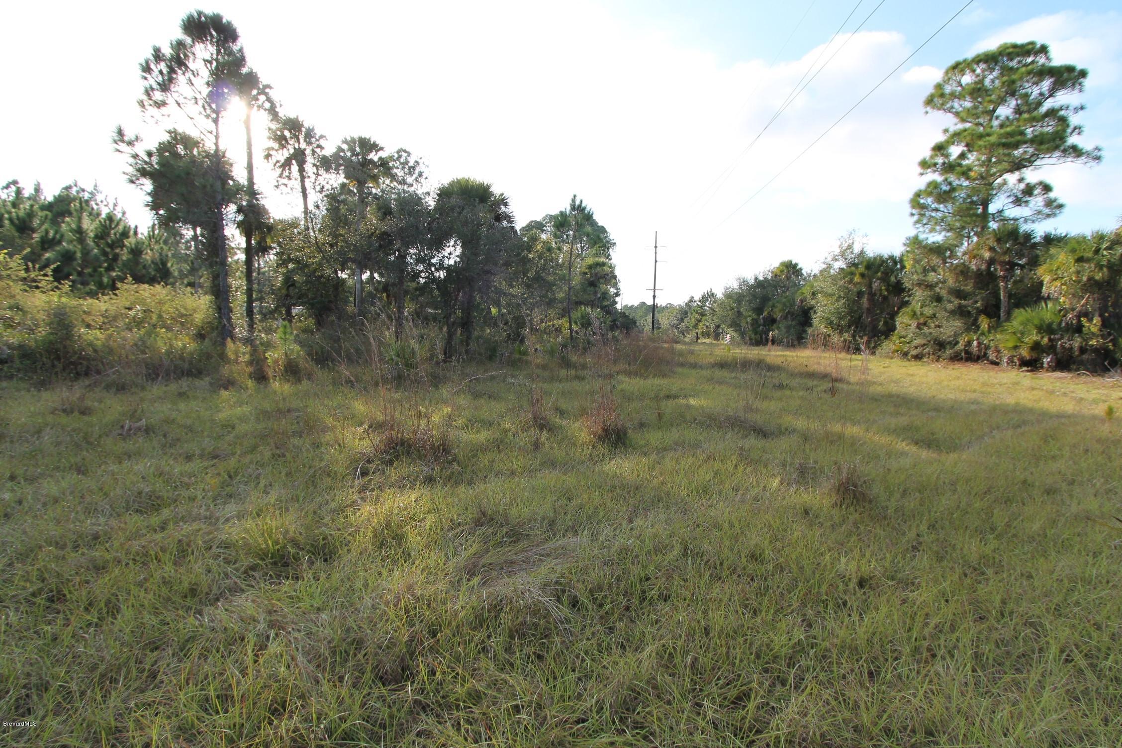 451 Liberty Road Mims, FL 32754 - Photo 21 of 22 IMG_6935