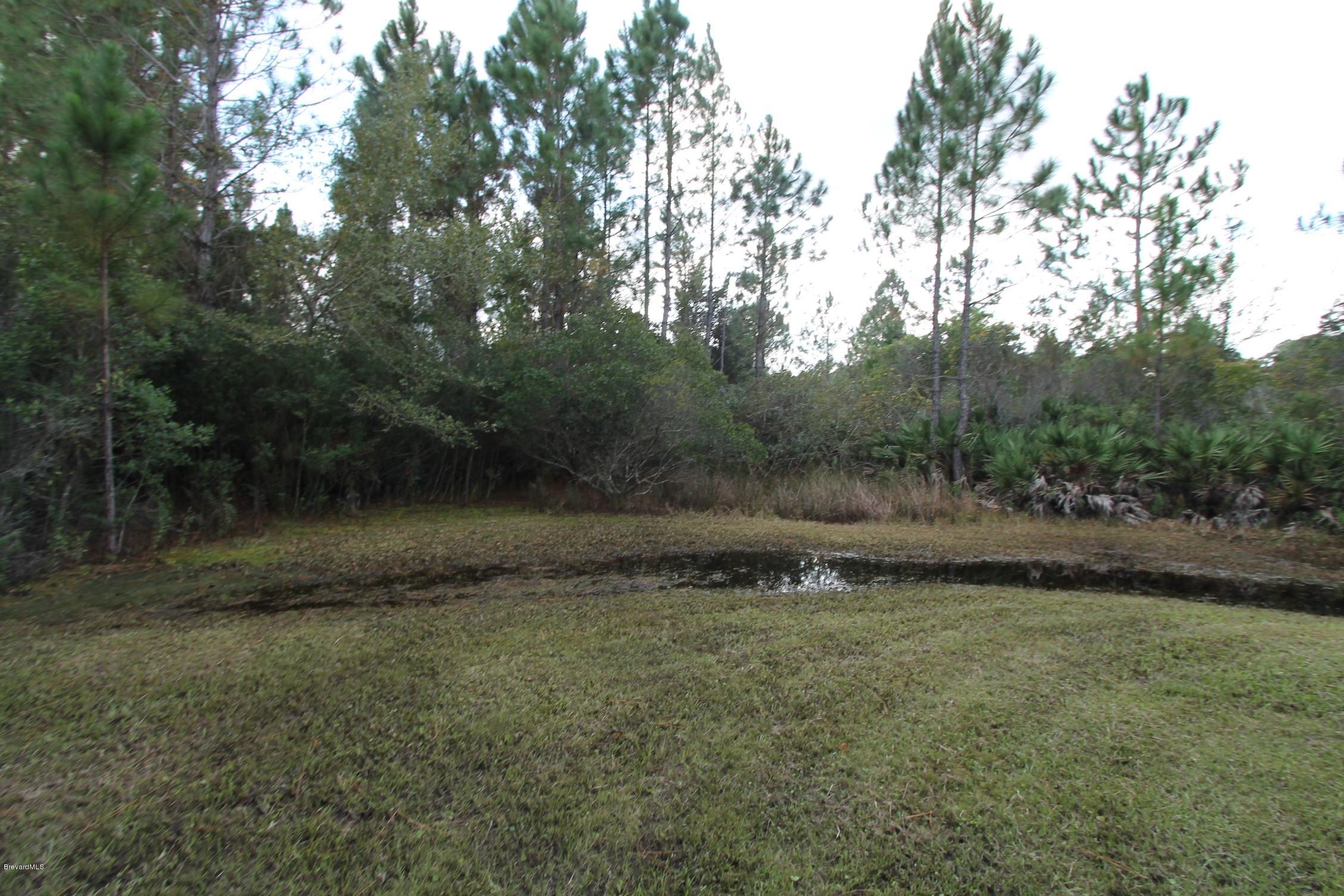 451 Liberty Road Mims, FL 32754 - Photo 6 of 22 lots of land