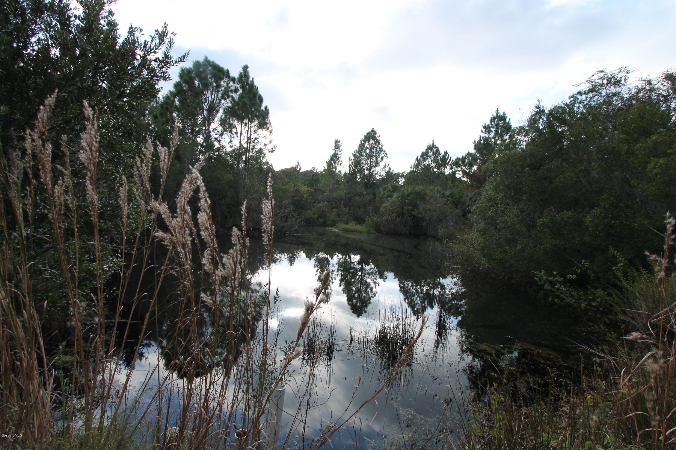 451 Liberty Road Mims, FL 32754 - Photo 7 of 22 pond on property