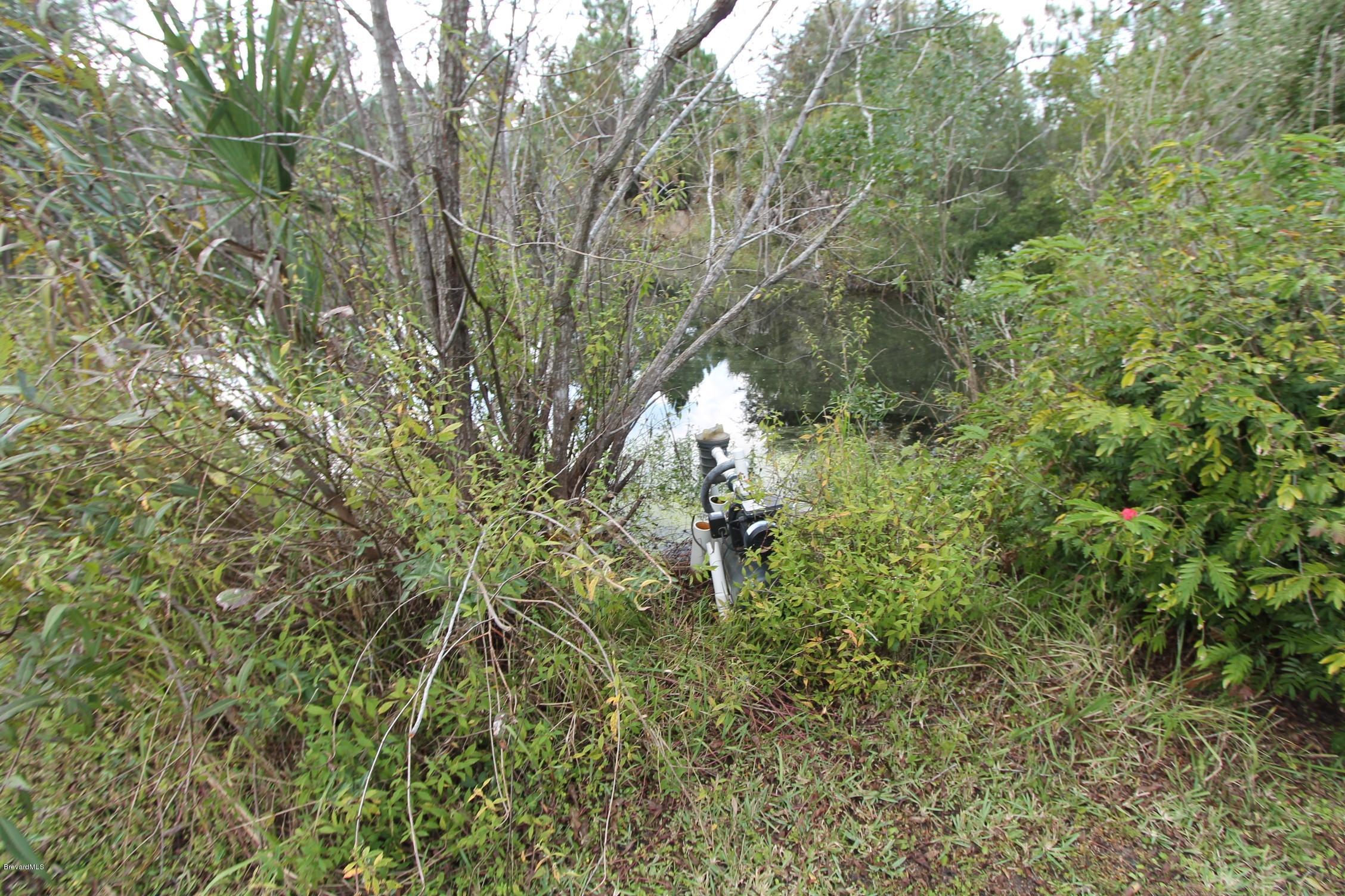 451 Liberty Road Mims, FL 32754 - Photo 8 of 22 pond on the property