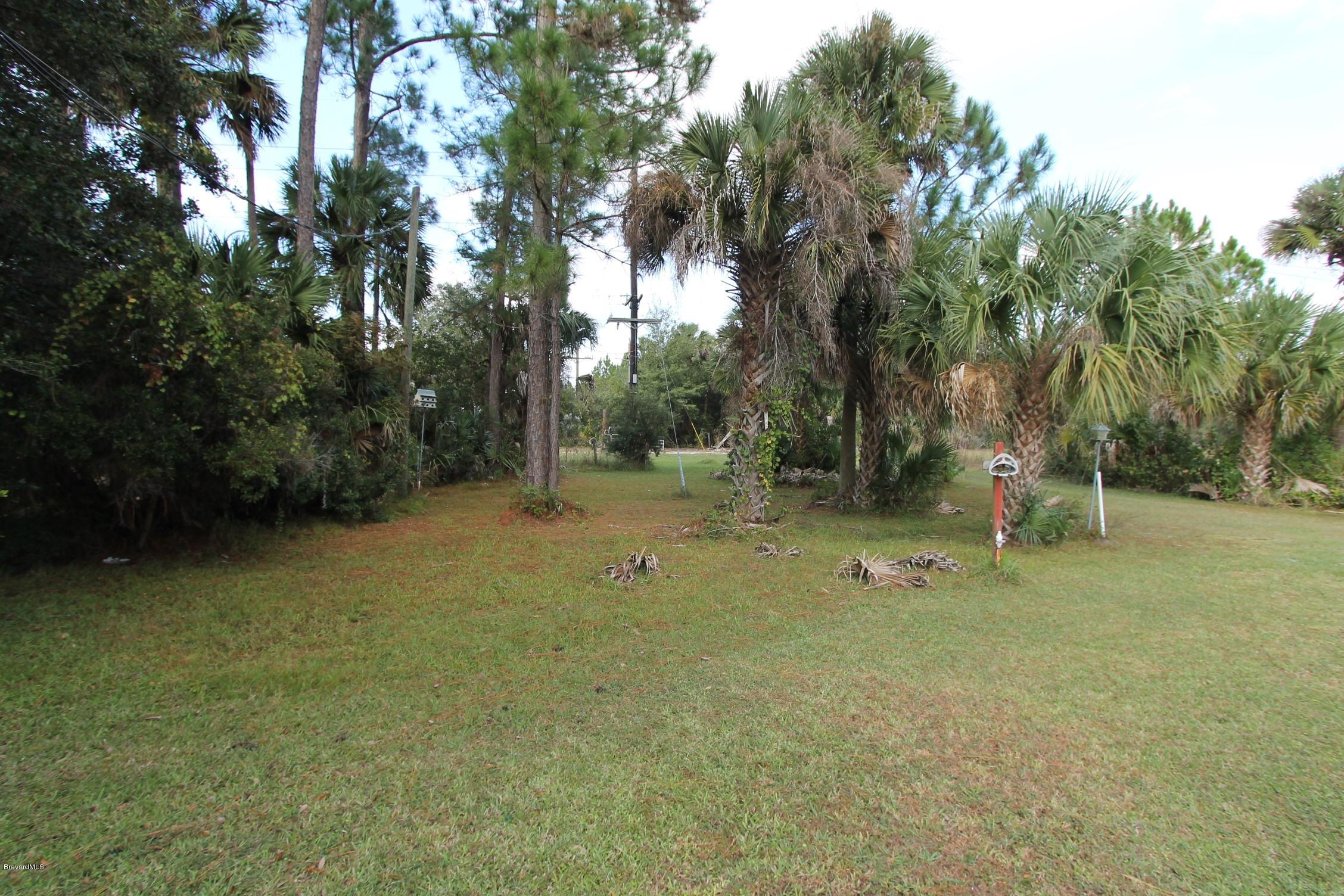 451 Liberty Road Mims, FL 32754 - Photo 9 of 22 more pictures of the 15 acres