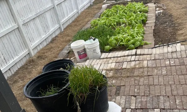 a view of a floor to ceiling window and potted plants