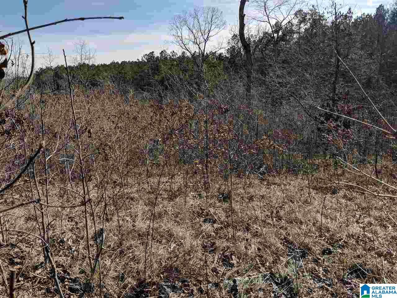 266 County Road, Unit 10 Wedowee, AL 36278 - Photo 5 of 6