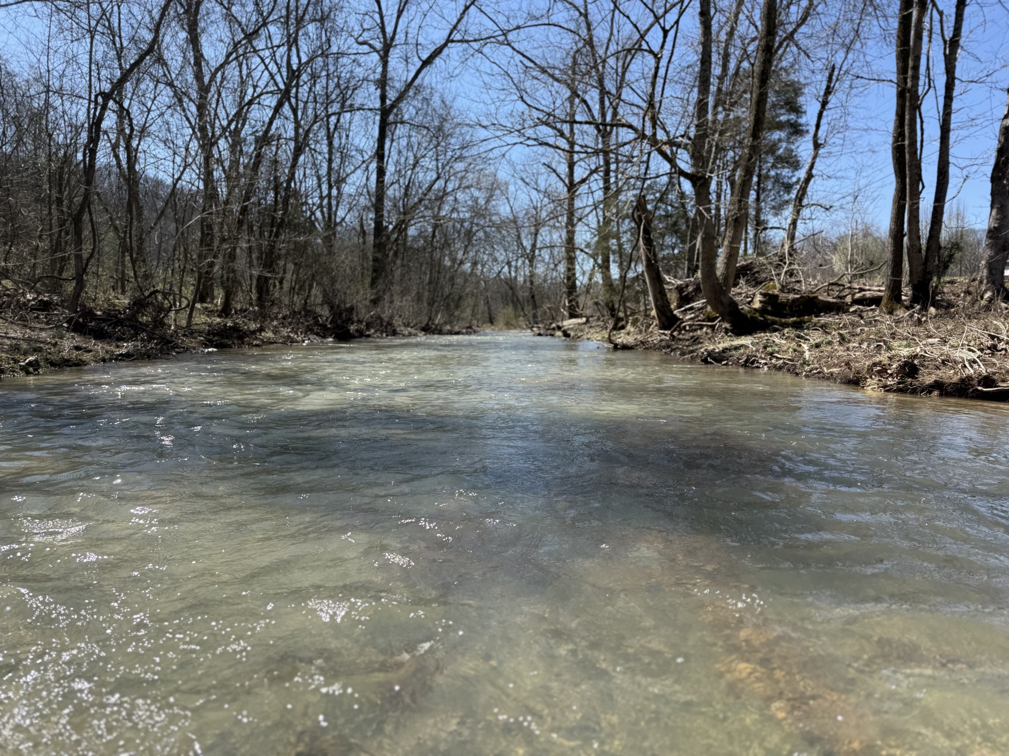 0 Bugg Hollow Road Gallatin, TN 37066 - Photo 9 of 10 Gallery Image 9