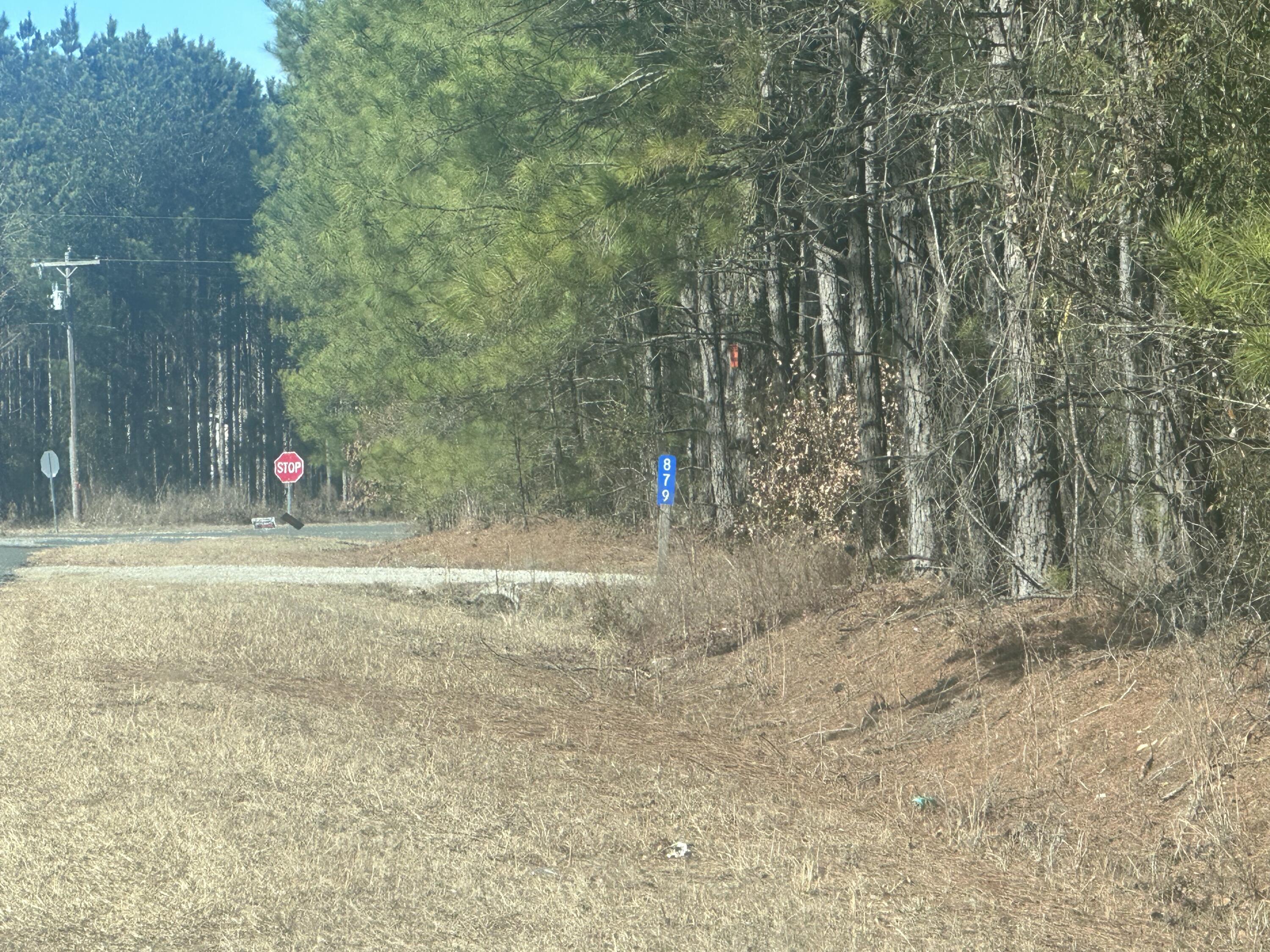 0 Horses Neck Road, Unit LOT 17A Swansea, SC 29160 - Photo 2 of 3