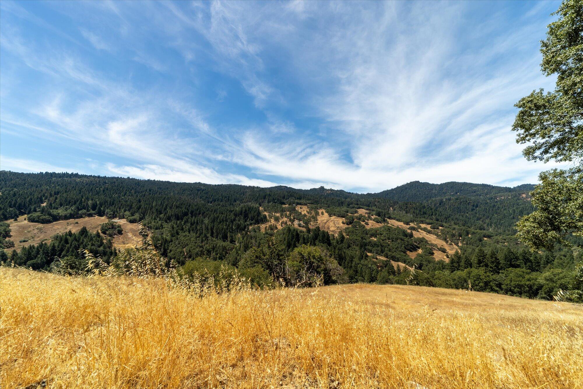 0 West River Road Bridgeville, CA 95526 - Photo 17 of 32