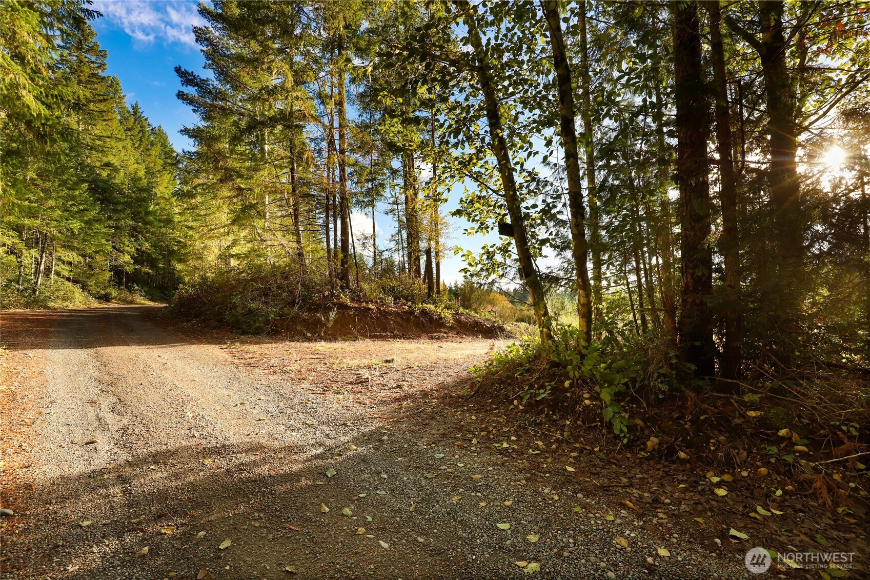 63 Wayne Road West Seabeck, WA 98380 - Photo 13 of 22 a view of outdoor space and yard