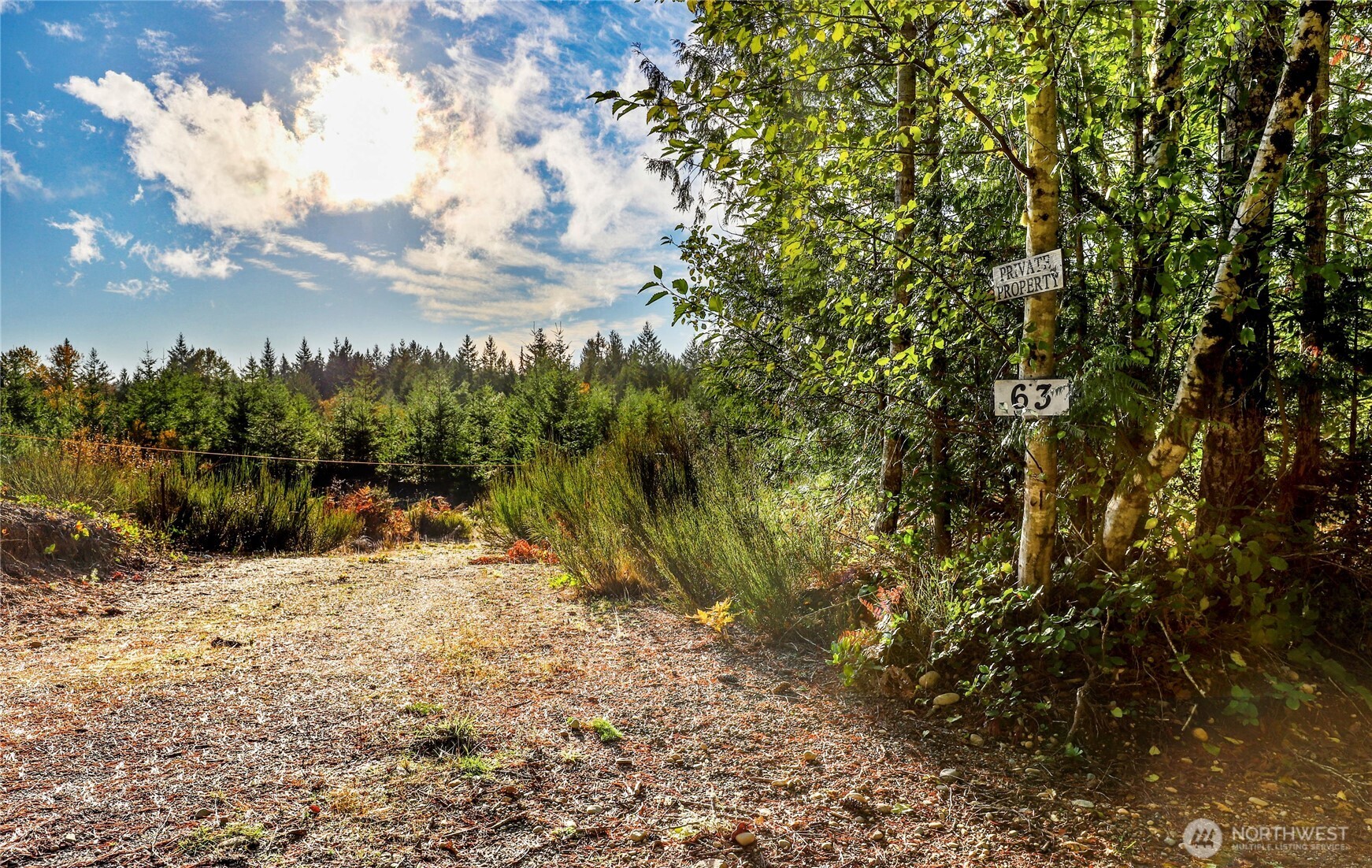 63 Wayne Road West Seabeck, WA 98380 - Photo 15 of 22 a view of a yard with trees