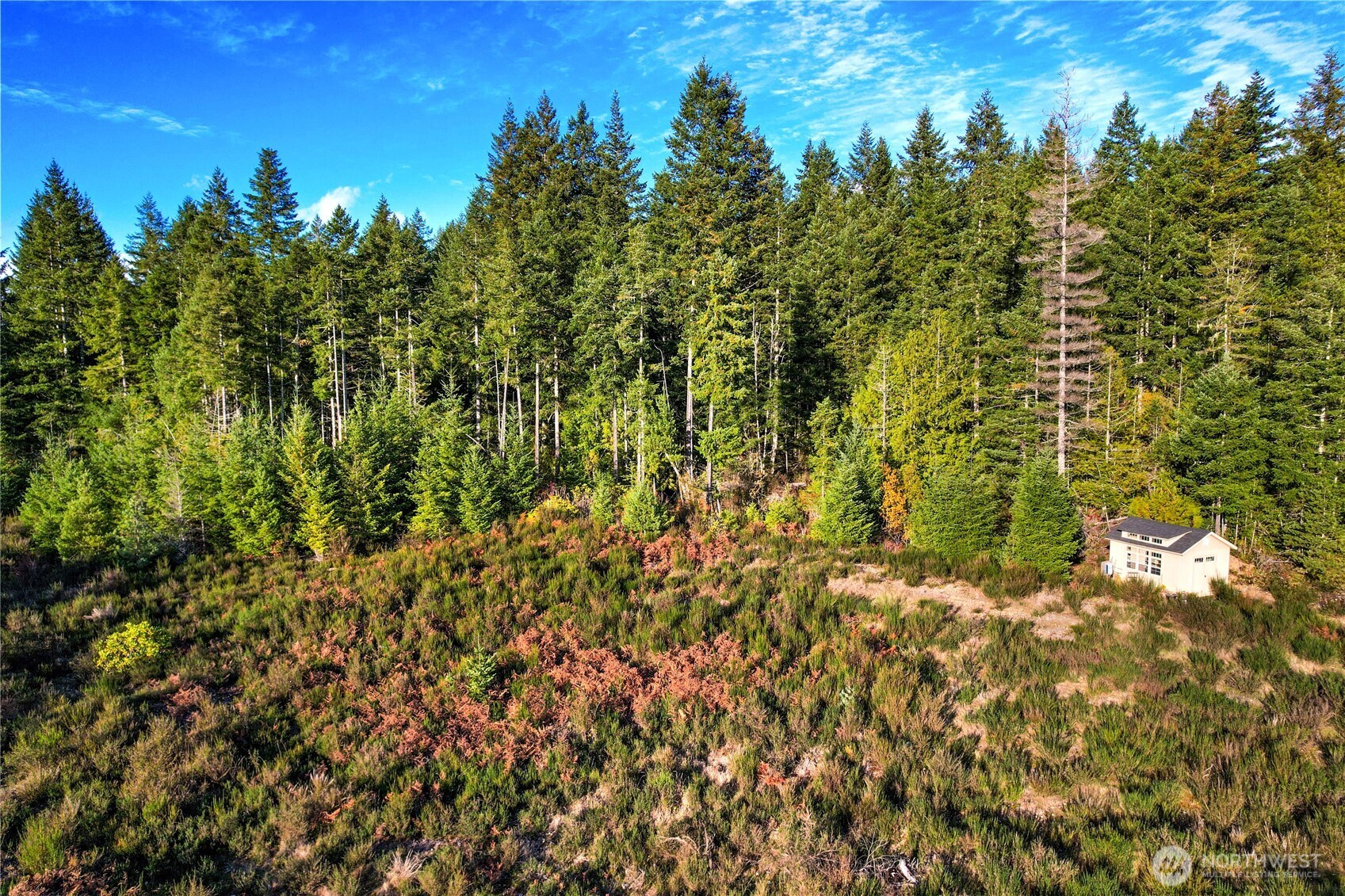 63 Wayne Road West Seabeck, WA 98380 - Photo 16 of 22 a view of a yard