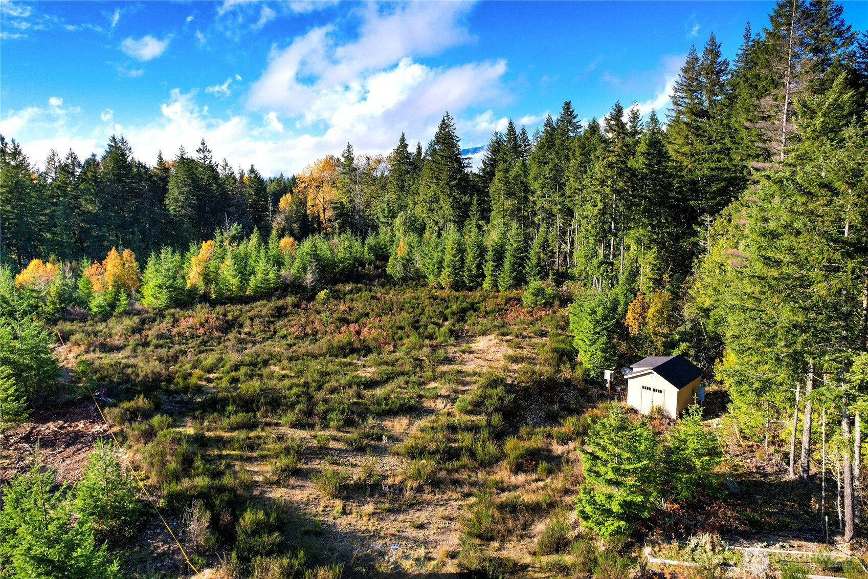 63 Wayne Road West Seabeck, WA 98380 - Photo 17 of 22 a backyard of a house with lots of green space