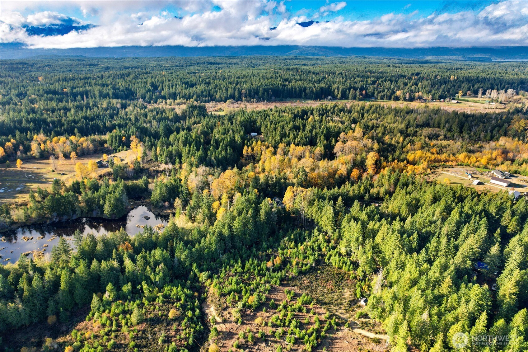 63 Wayne Road West Seabeck, WA 98380 - Photo 19 of 22 a view of a city