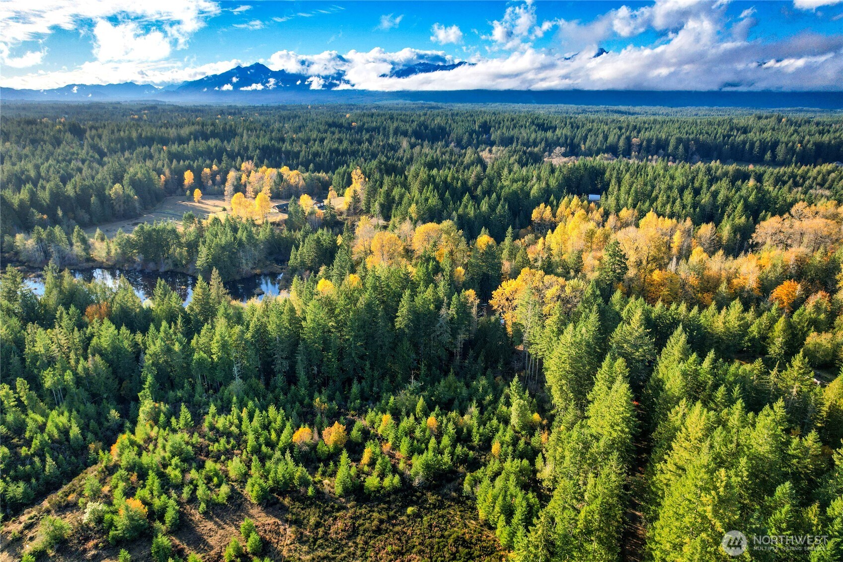 63 Wayne Road West Seabeck, WA 98380 - Photo 20 of 22 view of a lake with green field