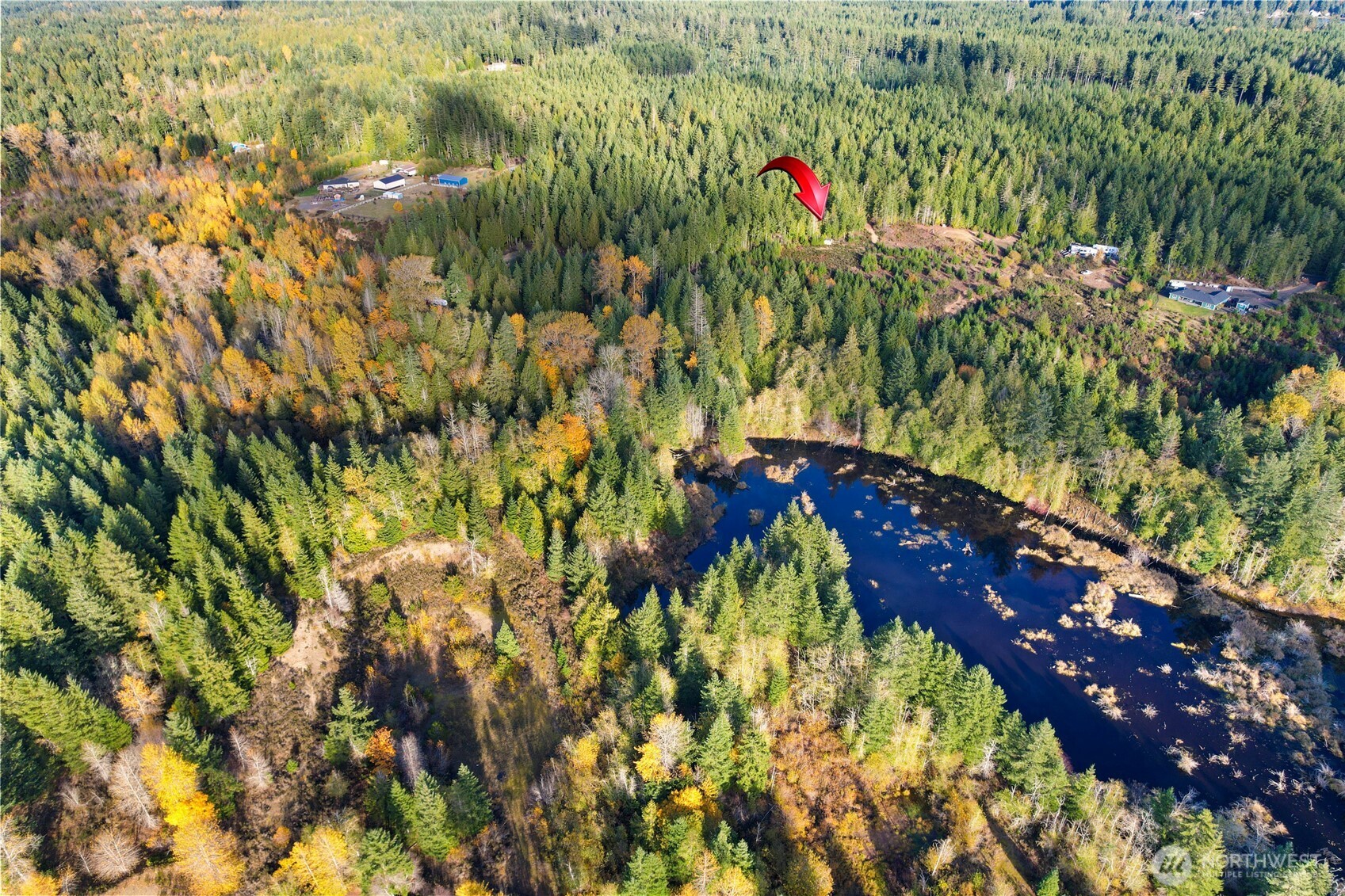 63 Wayne Road West Seabeck, WA 98380 - Photo 2 of 22 a picture of flowers