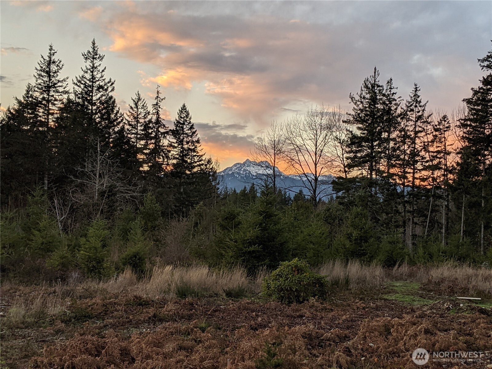 63 Wayne Road West Seabeck, WA 98380 - Photo 21 of 22